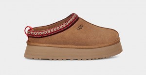 Ugg Tazz Women's Slippers Brown | BUTDCNP-54
