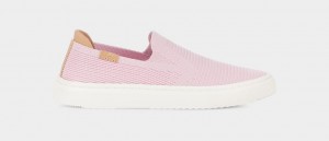 Ugg Alameda Sammy Women's Slip On Pink | BIPQTVC-28