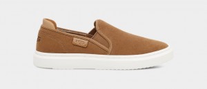 Ugg Alameda Suede Women's Slip On Brown | JIVGALT-46