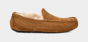 Ugg Ascot Men's Moccasins Brown | MREPKCZ-37