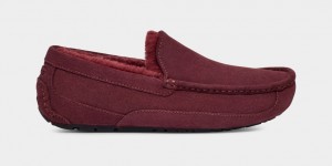 Ugg Ascot Men's Moccasins Purple | HITXZKL-31