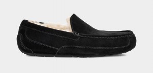 Ugg Ascot Men's Slippers Black | FPHTCEY-45