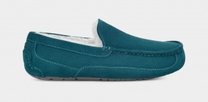 Ugg Ascot Men's Slippers Blue | LMPRWJC-63