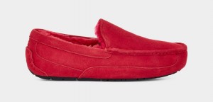 Ugg Ascot Men's Slippers Red | DHFKSPB-59