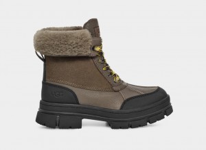 Ugg Ashton Addie Women's Boots Grey | XKWBOMY-63