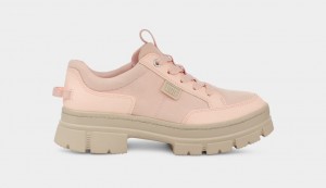 Ugg Ashton Hybrid Women's Sneakers Beige | GZIDUCH-13