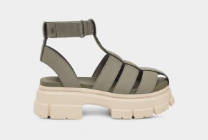 Ugg Ashton Strappy Women's Sandals Green | HYKWFXO-54