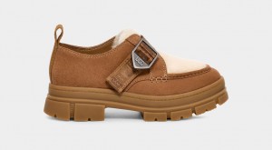 Ugg Ashton Suede Women's Clogs Brown | DRXNCWI-20