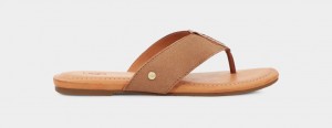 Ugg Carey Flip Suede Women's Slides Brown | SHRTDQN-41