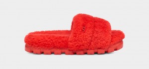 Ugg Cozetta Curly Women's Slippers Red | WGDQTXB-25