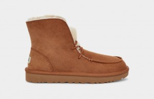 Ugg Diara Women's Boots Brown | NBVTDMH-58