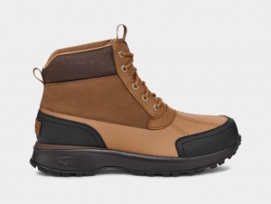 Ugg Emmett Duck Men's Boots Brown | RMKIONL-67