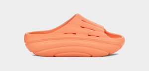 Ugg FoamO Women's Slides Coral | IVXMDGJ-89