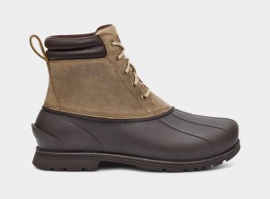 Ugg Gatson Mid Men's Boots Brown | QYEFKJP-52