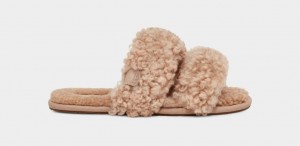 Ugg Maxi Curly Scuffetta Women's Slippers Brown | RWYFQUP-49