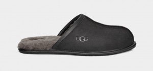 Ugg Scuff Leather Men's Slippers Black | HUCGDEN-45