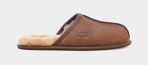 Ugg Scuff Leather Men's Slippers Brown | FIENKWB-29