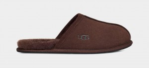 Ugg Scuff Men's Slippers Brown | HBYSJUV-06