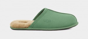 Ugg Scuff Men's Slippers Green | JZWQRXS-35