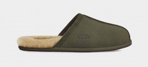 Ugg Scuff Men's Slippers Olive | SGILVXY-19