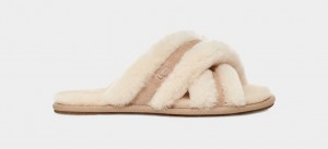 Ugg Scuffita Women's Slippers Brown | GJDOSFM-79