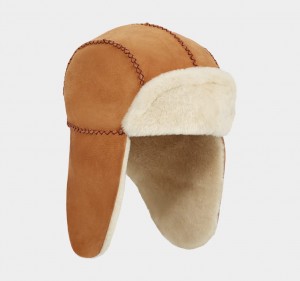 Ugg Sheepskin Trapper with Stitch Kids' Hats Brown | COFKISJ-32