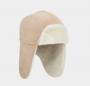 Ugg Sheepskin Trapper with Stitch Kids' Hats Brown | UWTQCMA-61