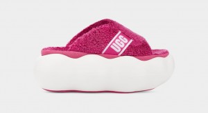 Ugg Sugarcloud Women's Slides Pink | QWHNEKU-90