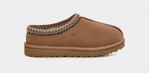 Ugg Tasman Women's Slip On Brown | RQUGZVL-34