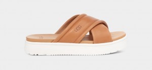 Ugg Zayne Crossband Women's Slides Brown | COLRMWZ-20
