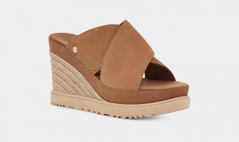 Ugg Abbot Women's Slides Brown | TDYKGNJ-09