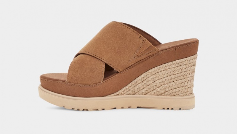 Ugg Abbot Women's Slides Brown | TDYKGNJ-09