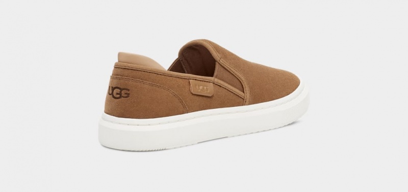 Ugg Alameda Suede Women's Slip On Brown | JIVGALT-46