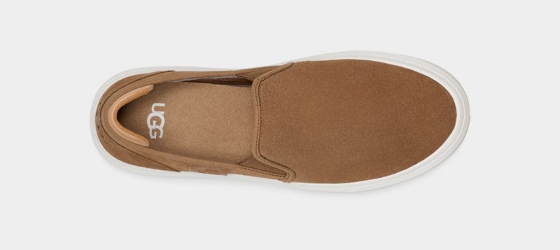 Ugg Alameda Suede Women's Slip On Brown | JIVGALT-46