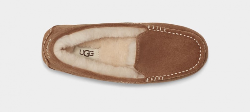 Ugg Ansley Women's Moccasins Brown | WTLDOGK-38