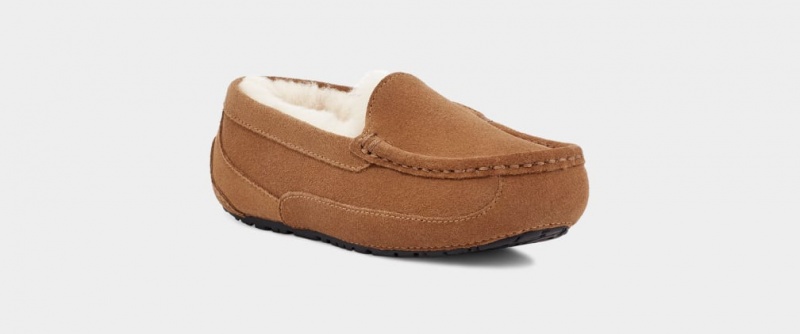 Ugg Ascot Kids' Slippers Brown | UXZVNKW-76