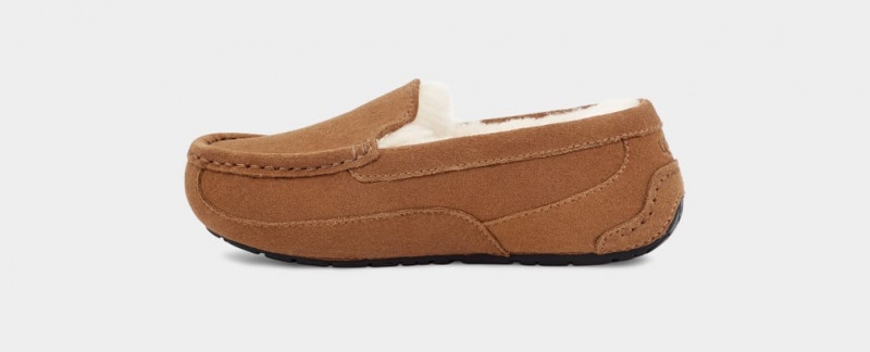 Ugg Ascot Kids' Slippers Brown | UXZVNKW-76