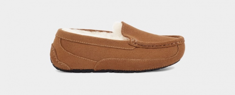 Ugg Ascot Kids\' Slippers Brown | UXZVNKW-76
