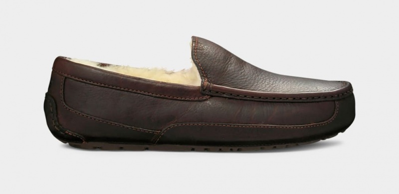 Ugg Ascot Leather Men's Slippers Dark Brown | CJVGZRB-35