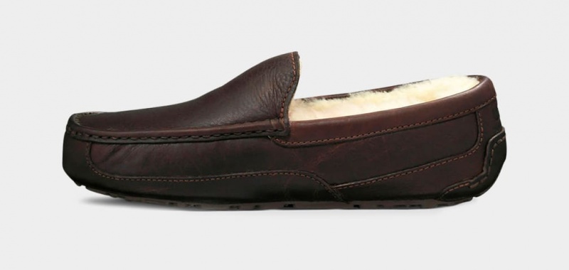 Ugg Ascot Leather Men's Slippers Dark Brown | CJVGZRB-35