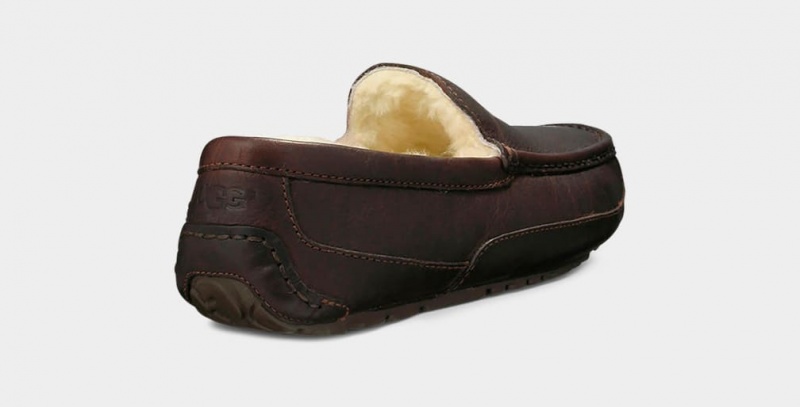 Ugg Ascot Leather Men's Slippers Dark Brown | CJVGZRB-35