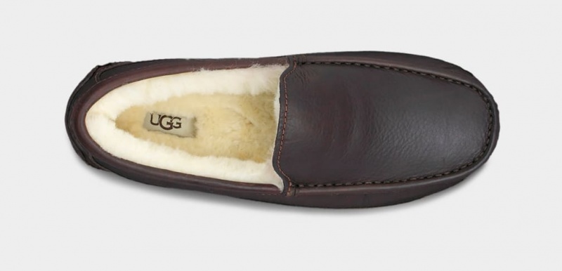 Ugg Ascot Leather Men's Slippers Dark Brown | CJVGZRB-35