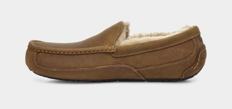 Ugg Ascot Matte Leather Men's Moccasins Brown | ONPJLGC-19