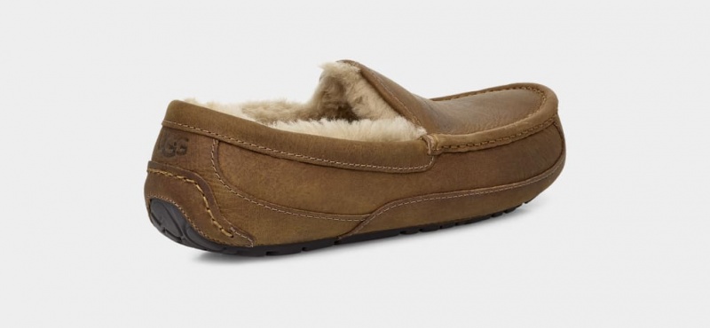 Ugg Ascot Matte Leather Men's Slippers Brown | GJSIDQF-91