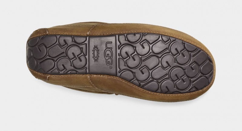 Ugg Ascot Matte Leather Men's Slippers Brown | GJSIDQF-91