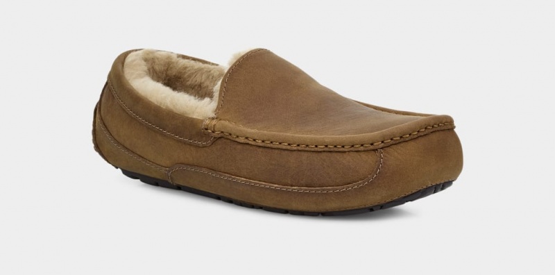 Ugg Ascot Matte Leather Men\'s Slippers Brown | GJSIDQF-91