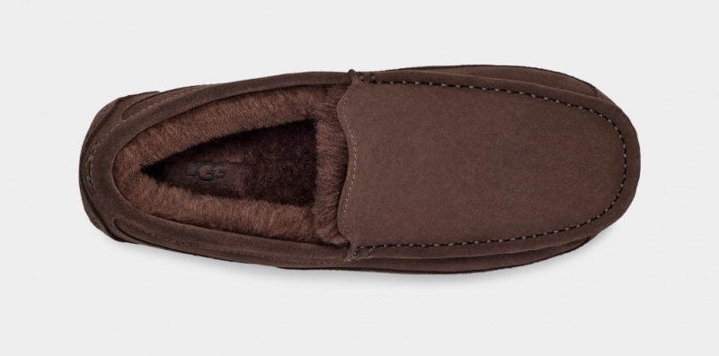 Ugg Ascot Men's Moccasins Brown | SRVMWIO-62