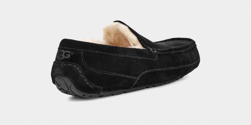 Ugg Ascot Men's Slippers Black | FPHTCEY-45