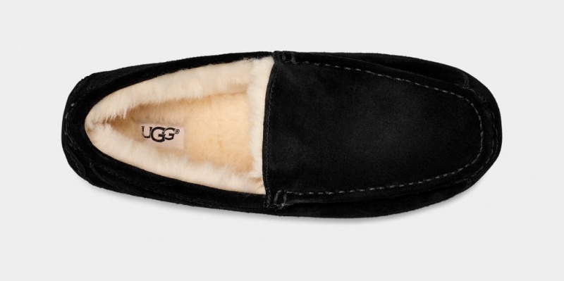 Ugg Ascot Men's Slippers Black | FPHTCEY-45