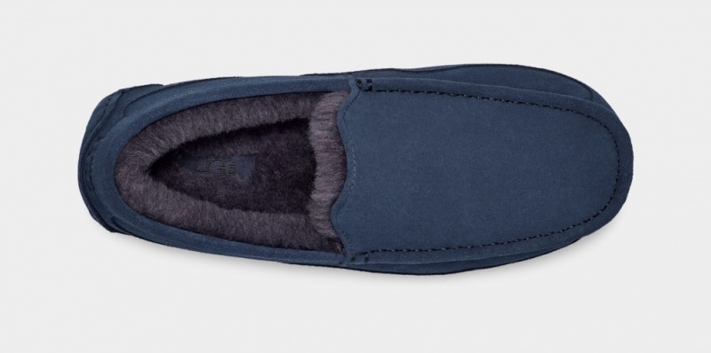 Ugg Ascot Men's Slippers Blue | KYQSAND-39